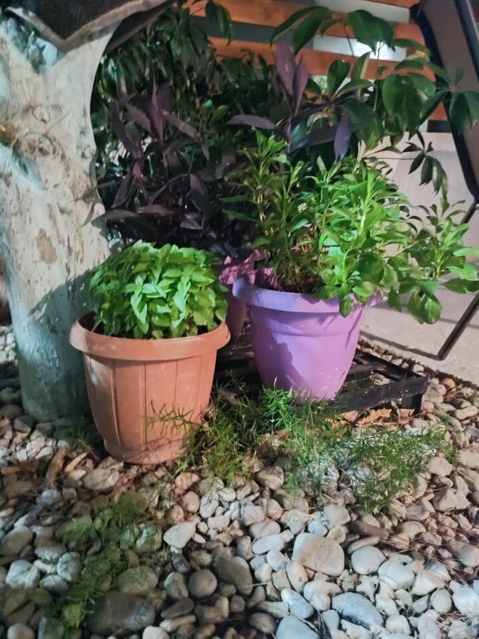 Katerina'S Apartment Cozy And Comfortable Place Nafplio Bagian luar foto